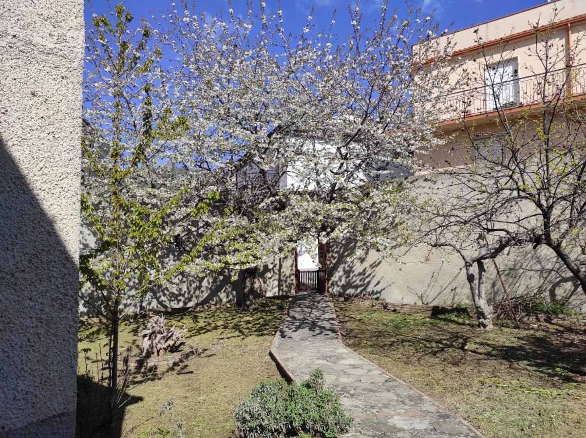 مبيت وإفطار Cerchiara di Calabria Antica Dimora Palazzo Rovitti المظهر الخارجي الصورة
